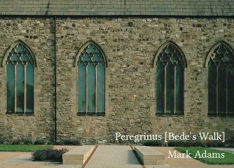 Peregrinus [Bede's Walk] by Mark Adams