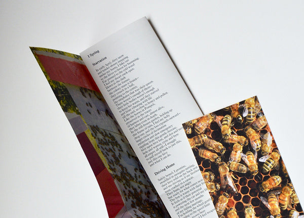 Tell the Bees by Sara Eddy