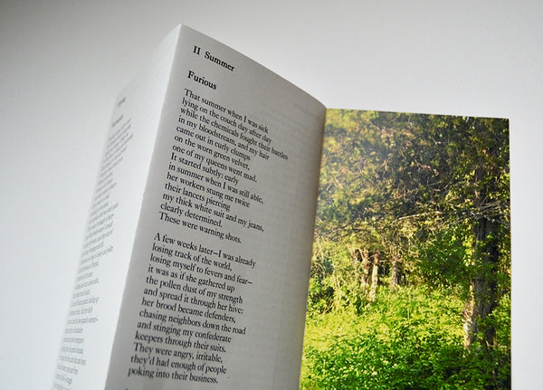 Tell the Bees by Sara Eddy