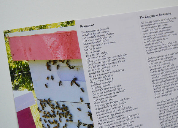 Tell the Bees by Sara Eddy